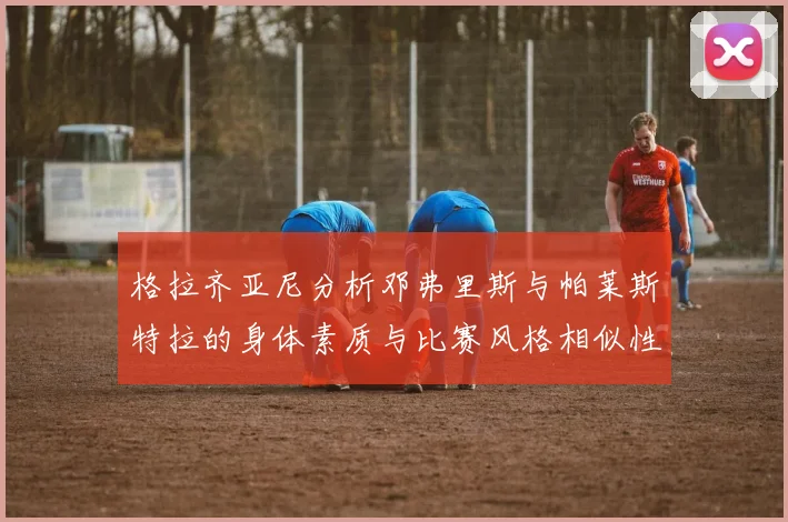 格拉齐亚尼分析邓弗里斯与帕莱斯特拉的身体素质与比赛风格相似性
